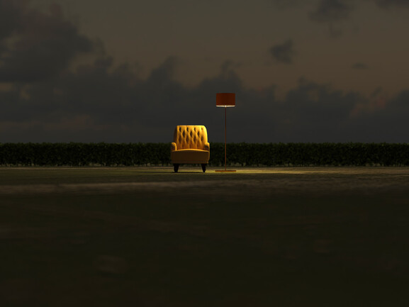 Armchair and floor lamp in the field