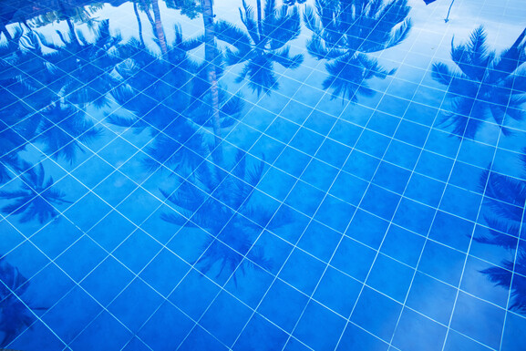 Reflectie van palmbomen