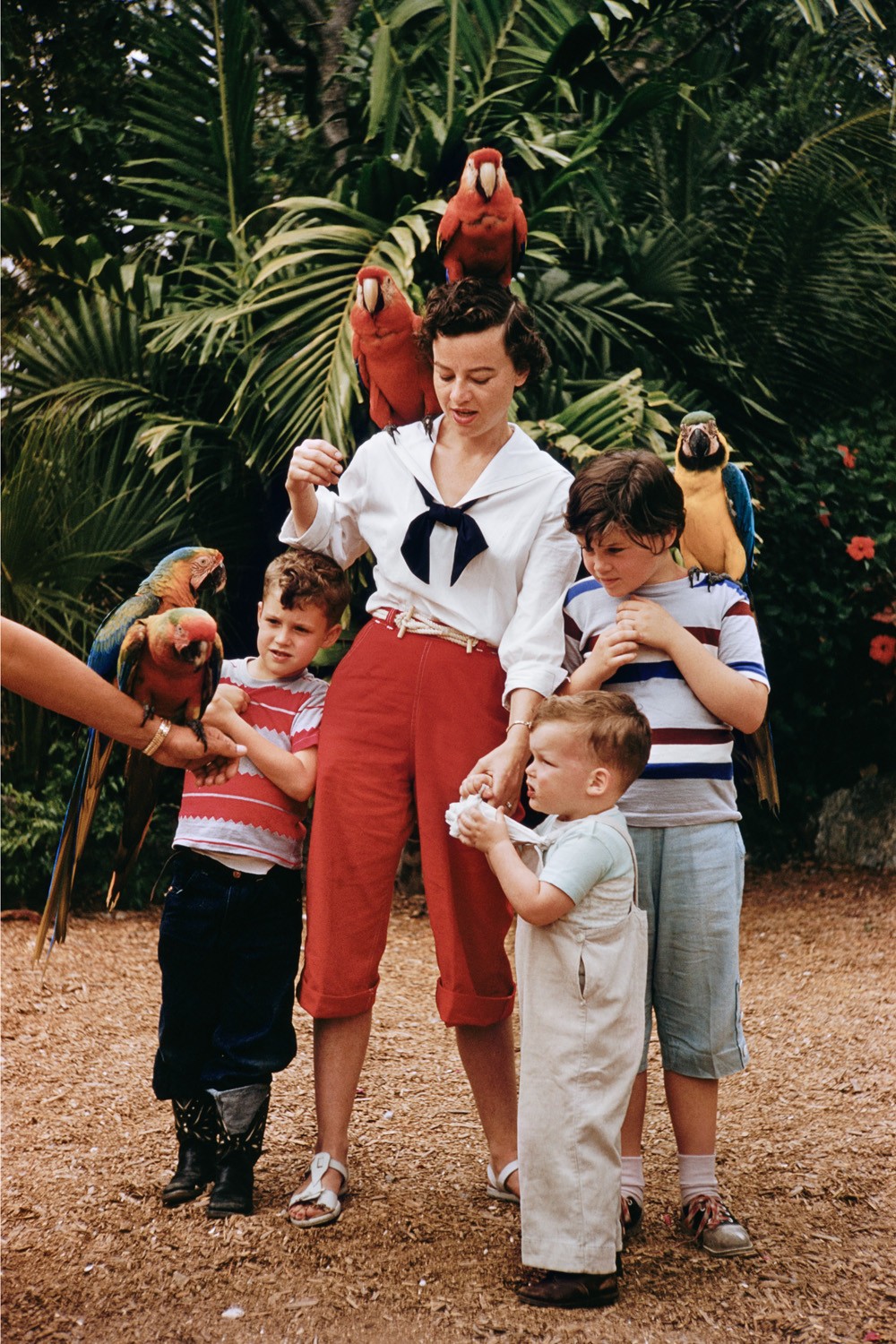Parrot Jungle