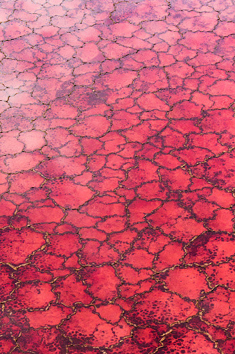 Lake Natron, Tanzania, Africa