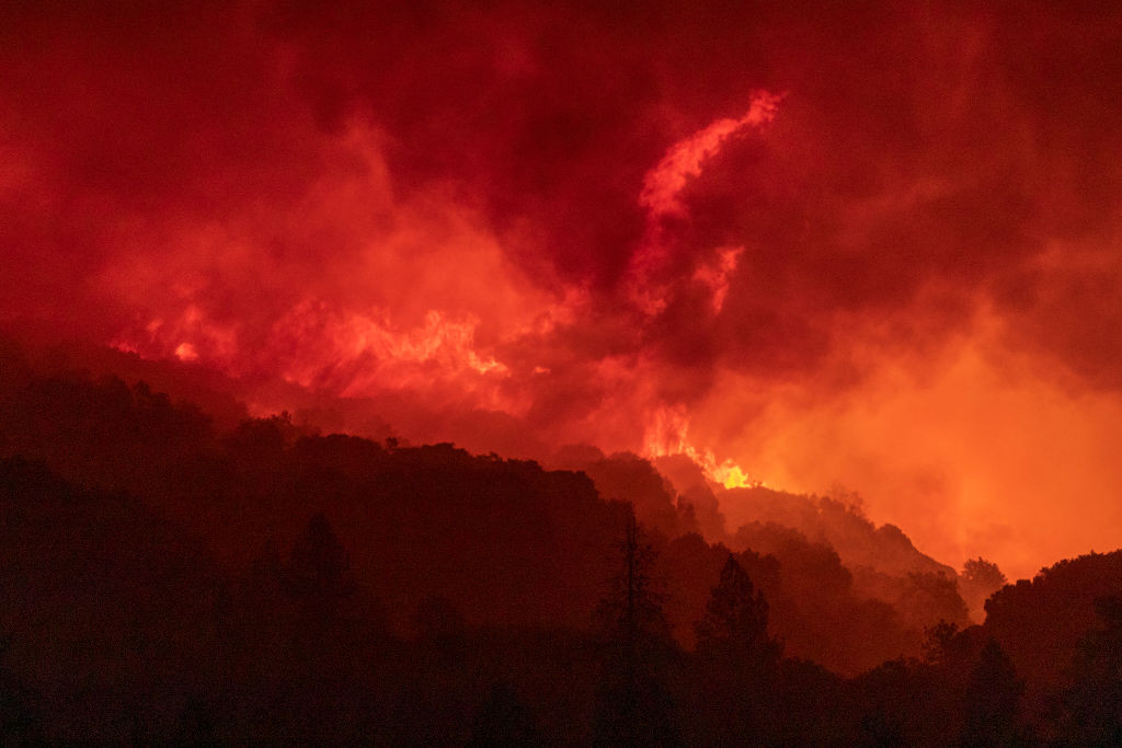 Forest Inferno (Creek Fire)