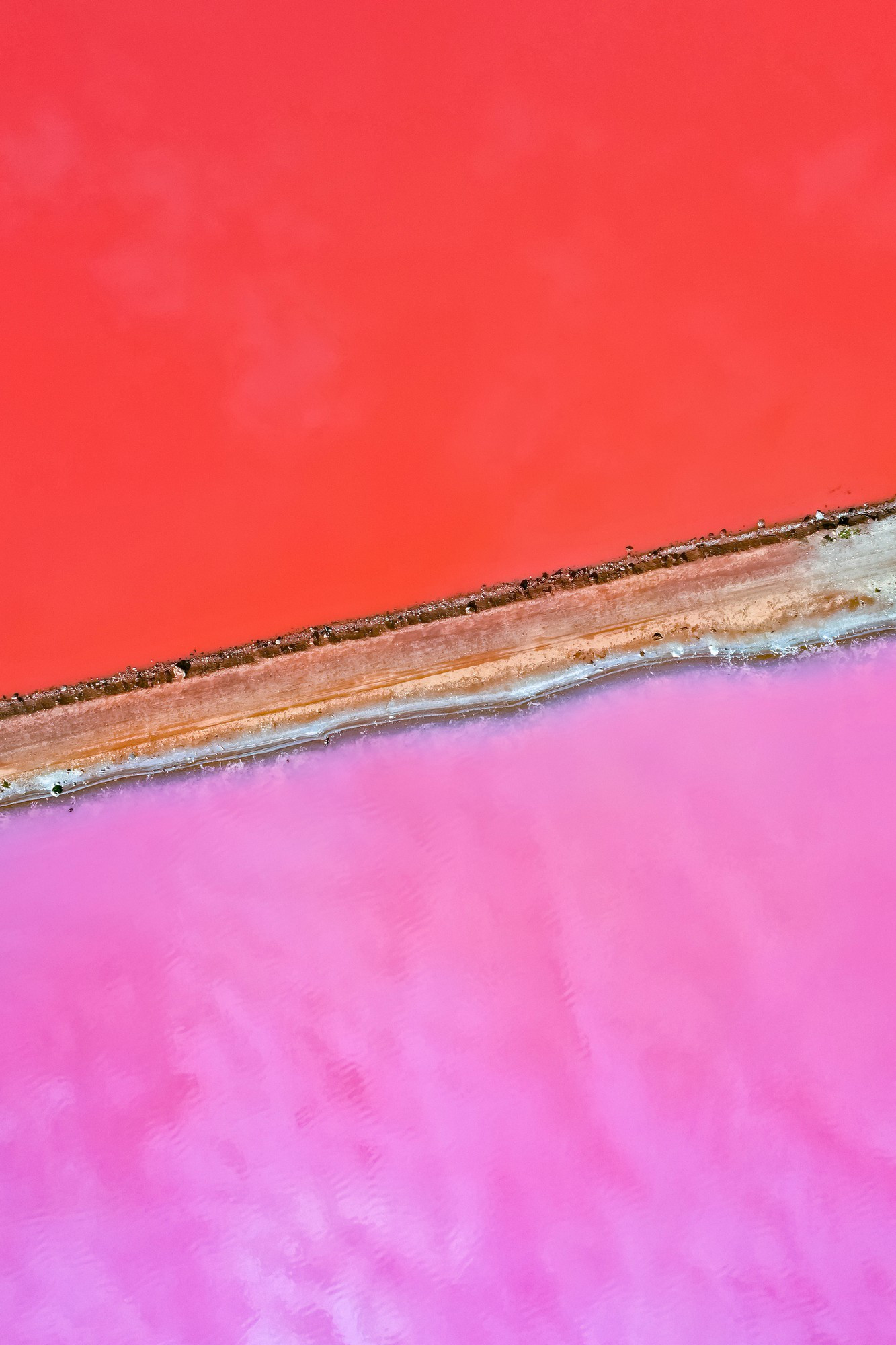 Aerial view over the stunning colourful lake at Hutt lagoon. Port Gregory, Western Australia