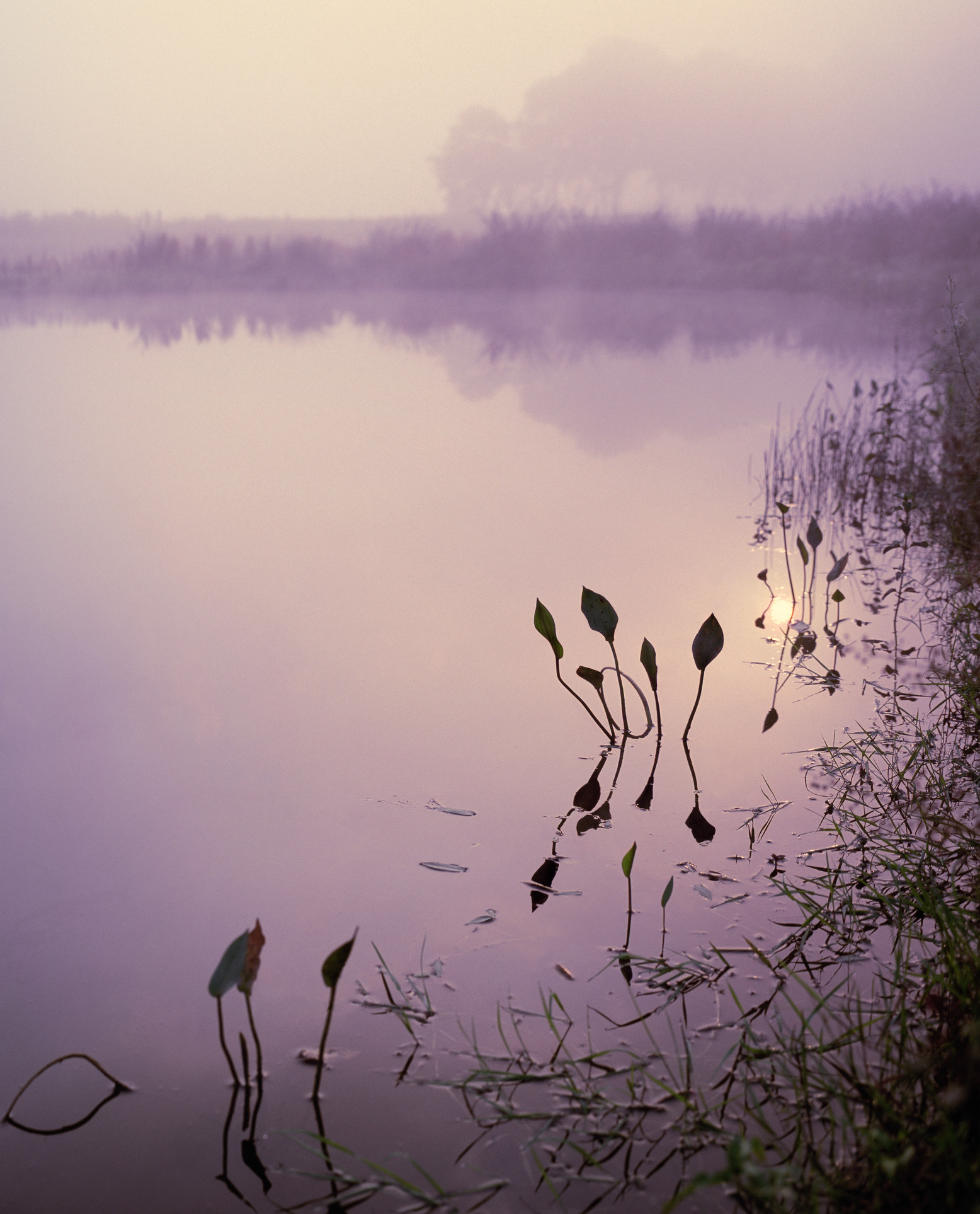 Magical sunrise at lake in the south of the Netherlands