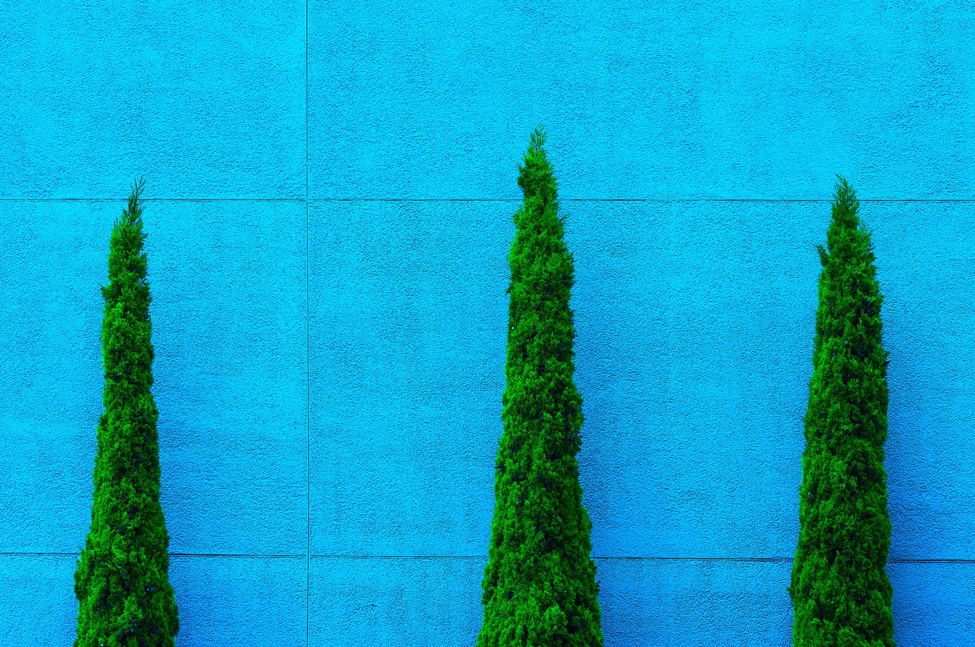 Three Trees