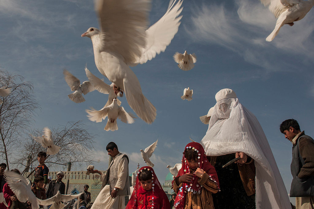 White Pigeons at the Blue Mosque