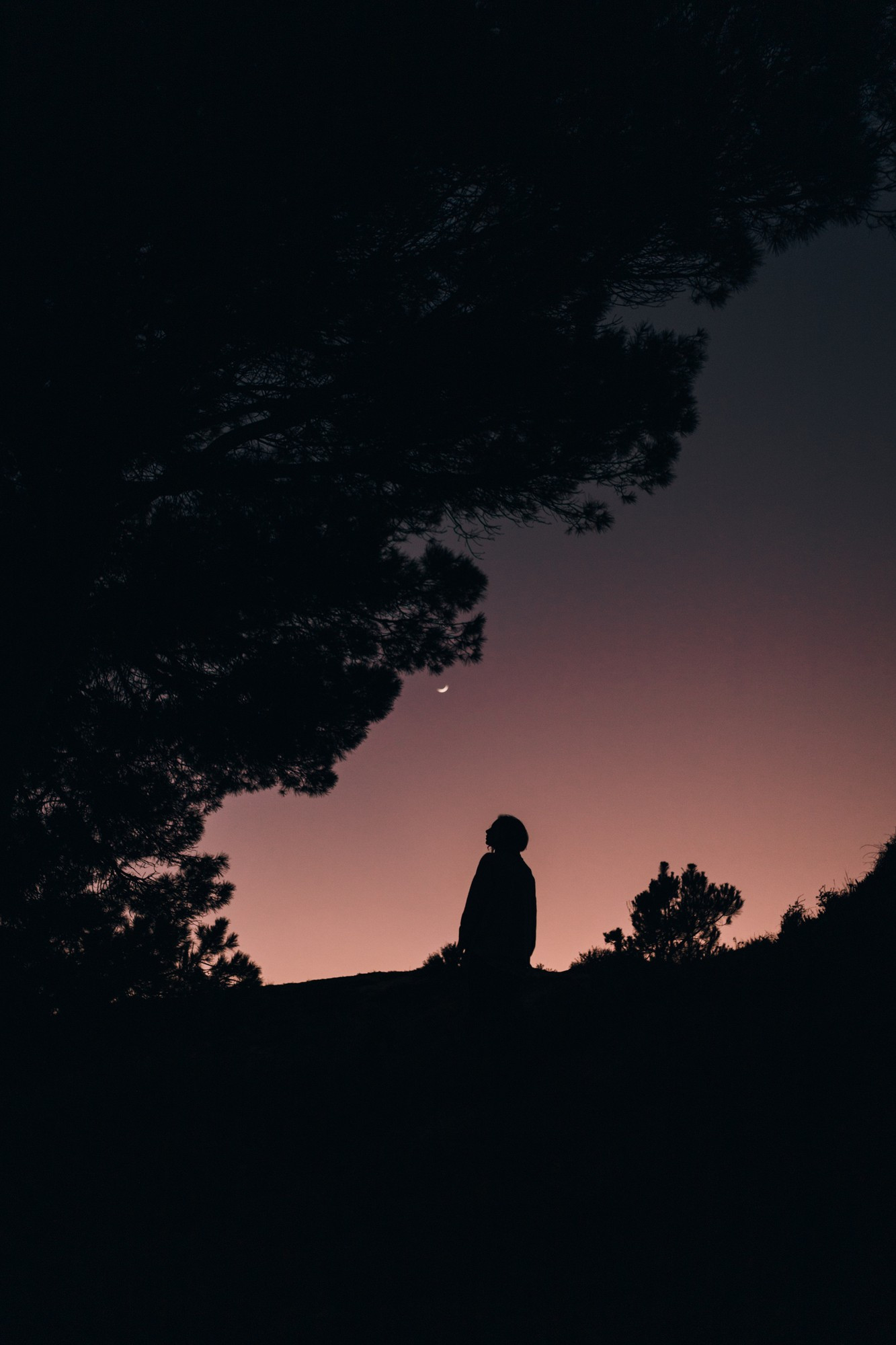 Silhouette of woman against clear night sky