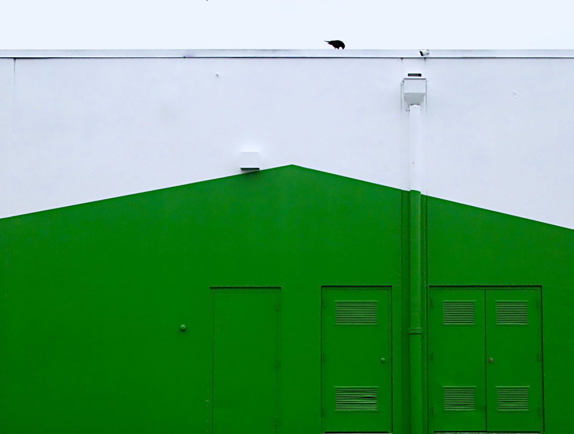 Green Doors