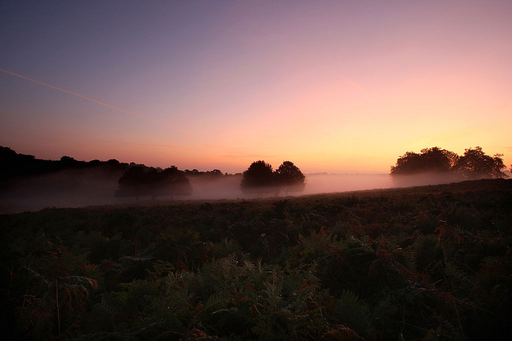 Richmond Park