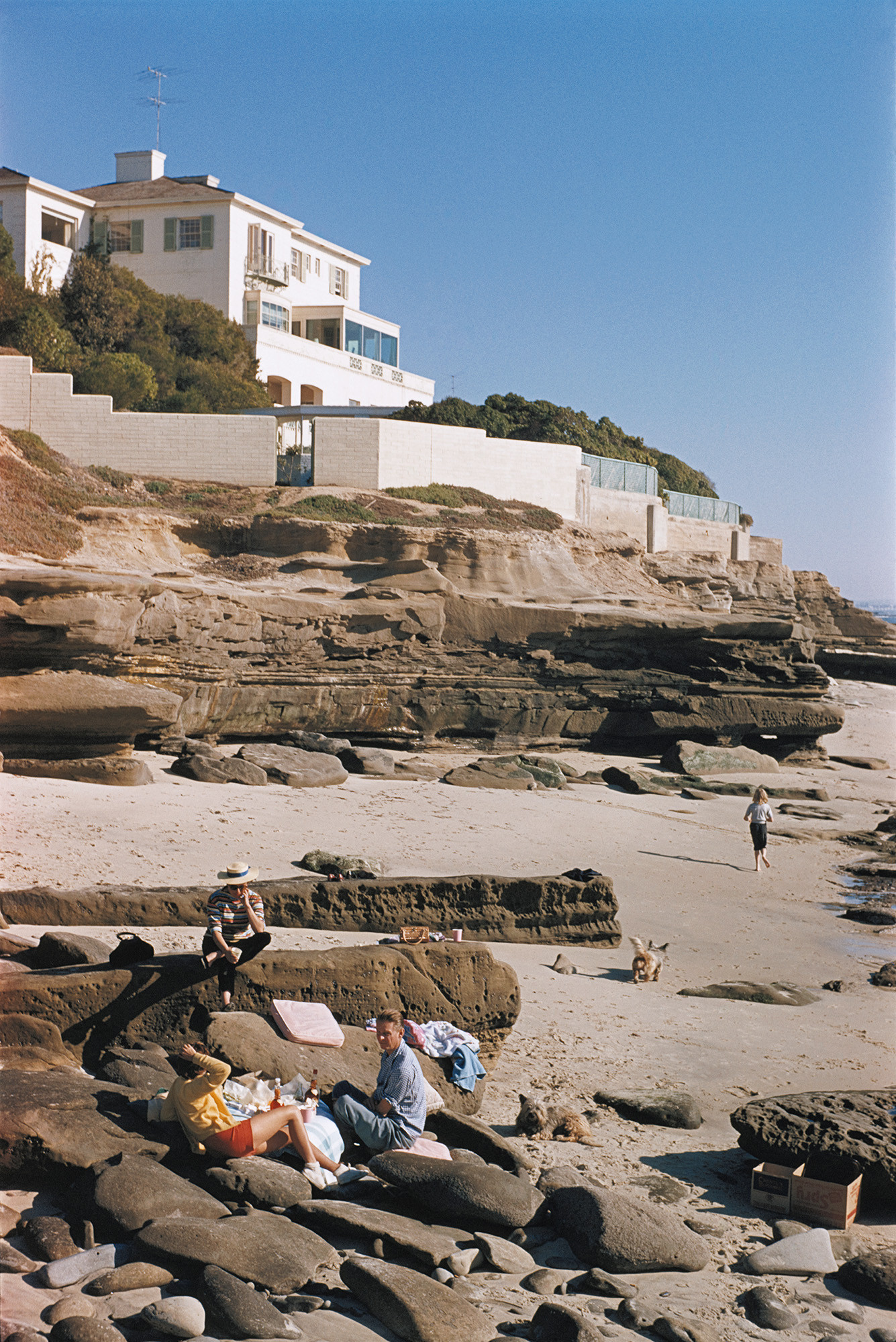 Beach Picnic