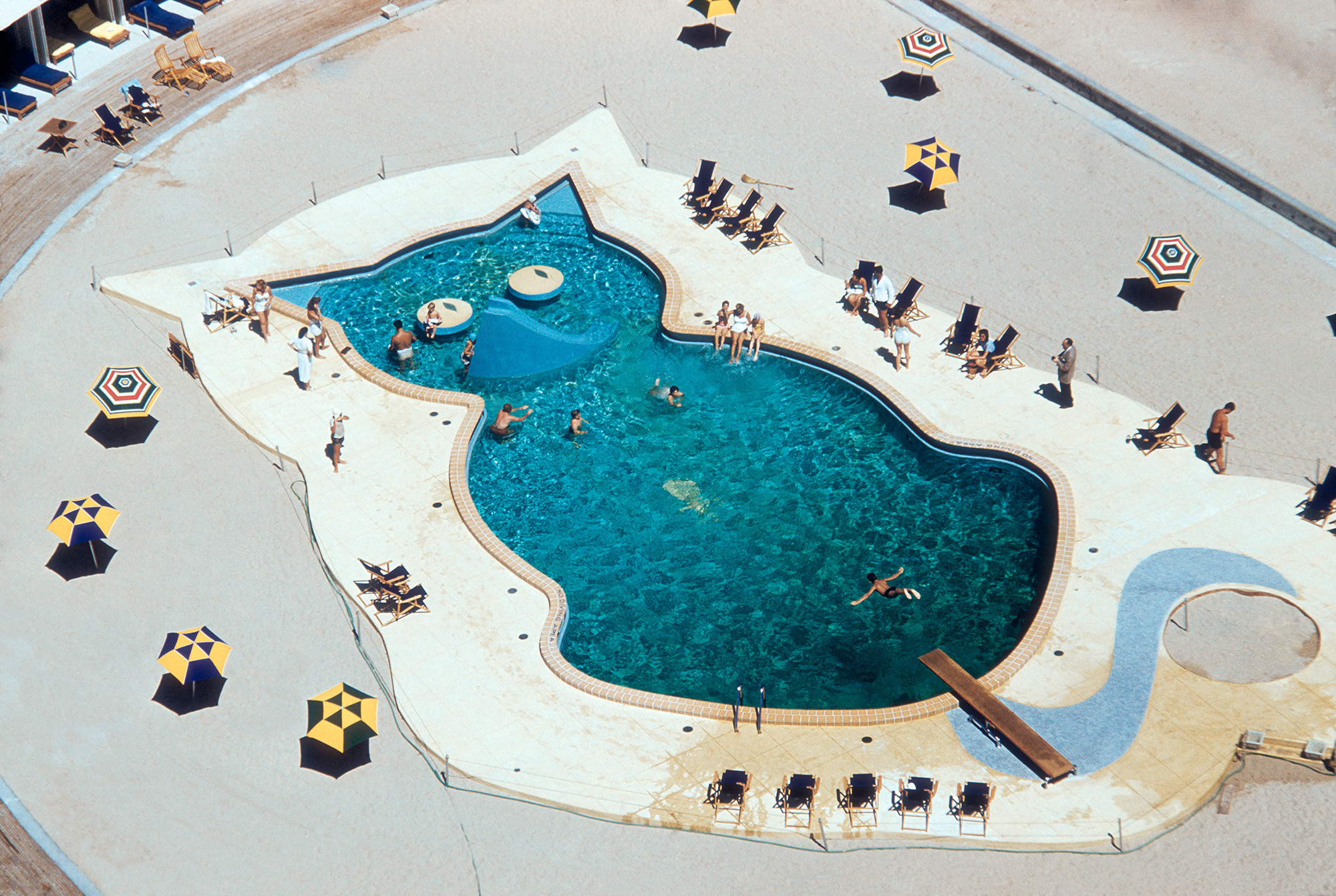 Cat-Shaped Pool