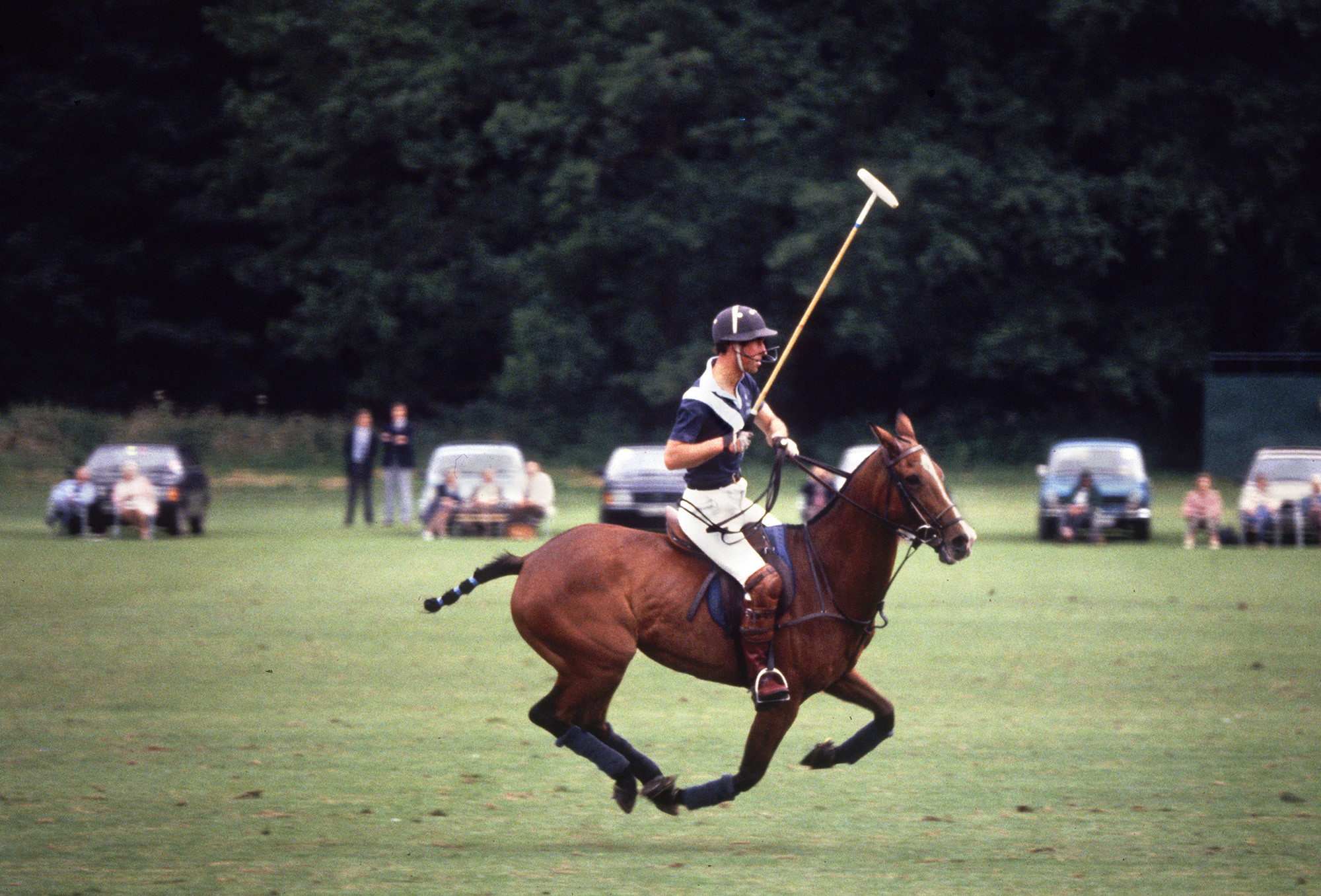 Polo Prince