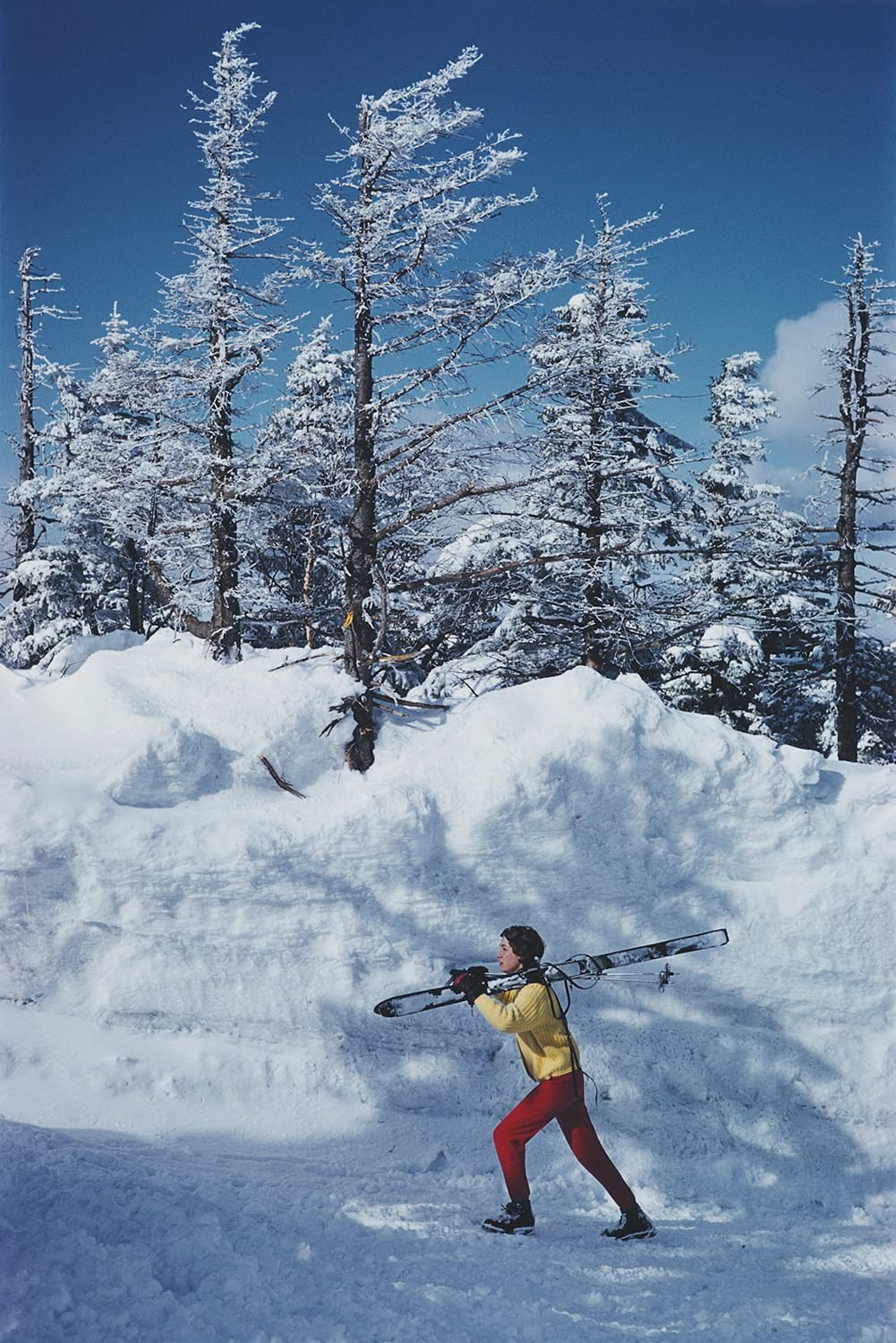 Skier In Vermont