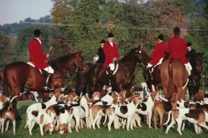 Millbrook Hunt