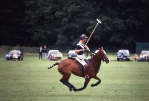 Polo Prince