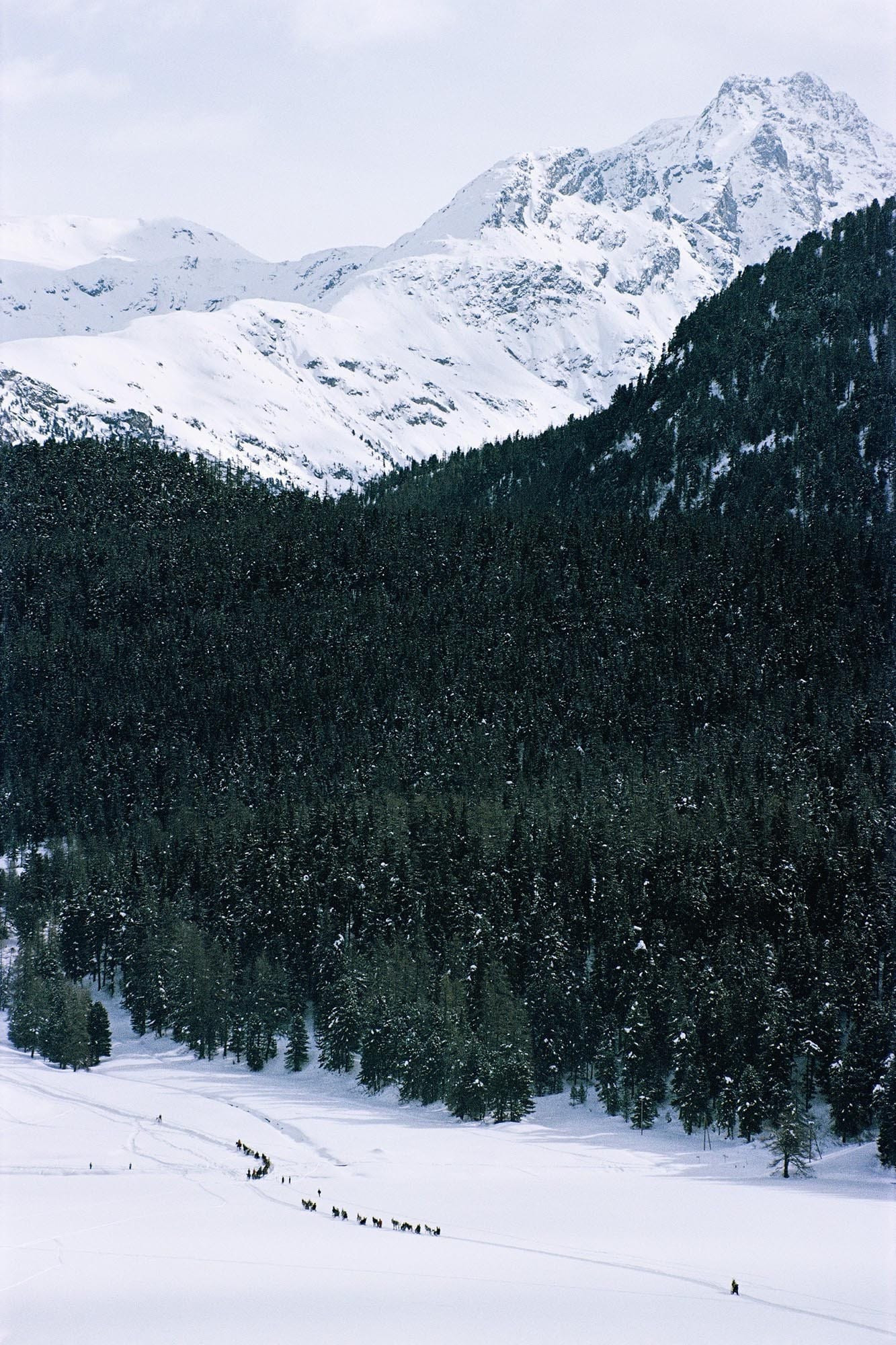 Crossing Snow Field