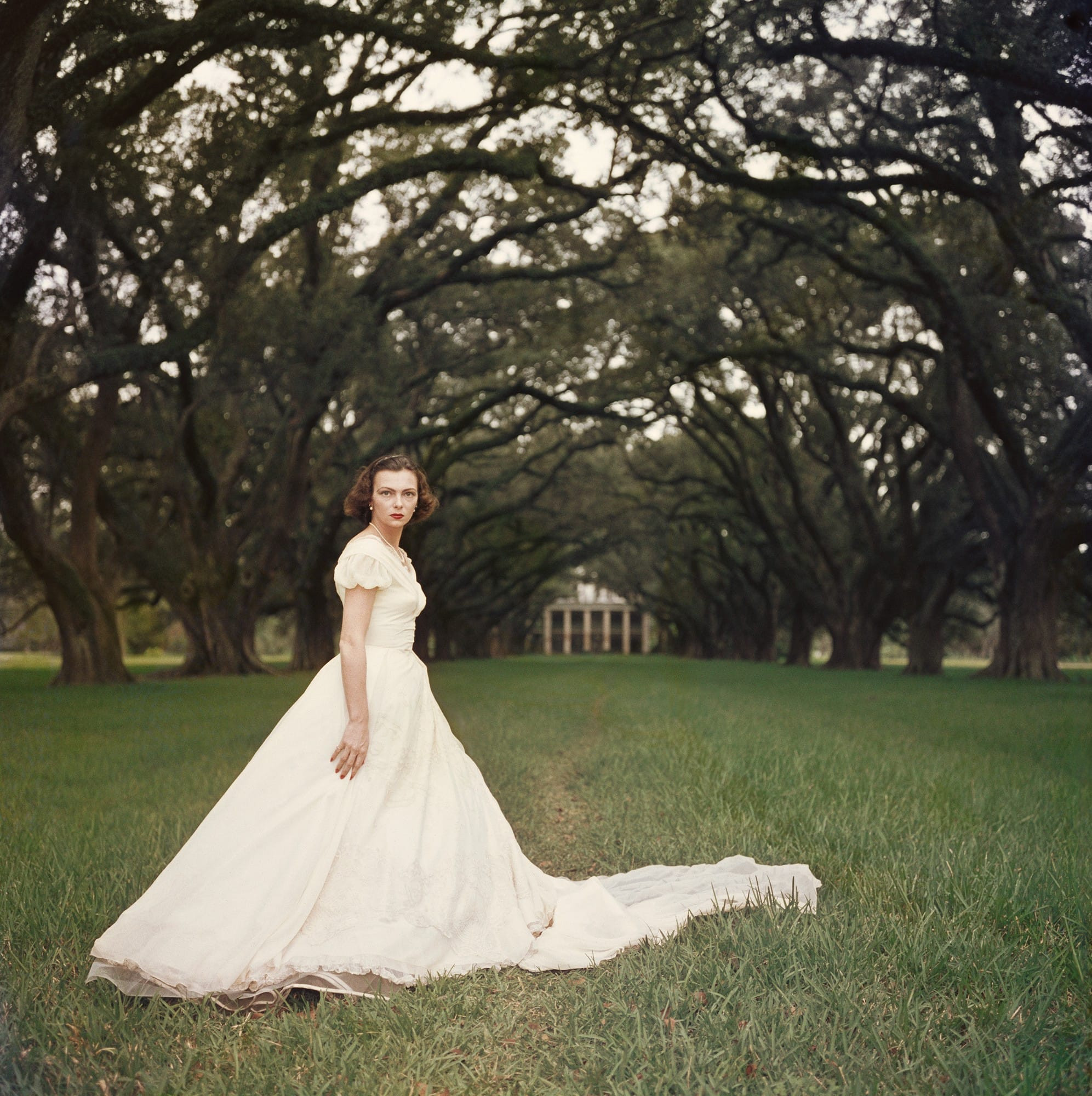 Southern Belle