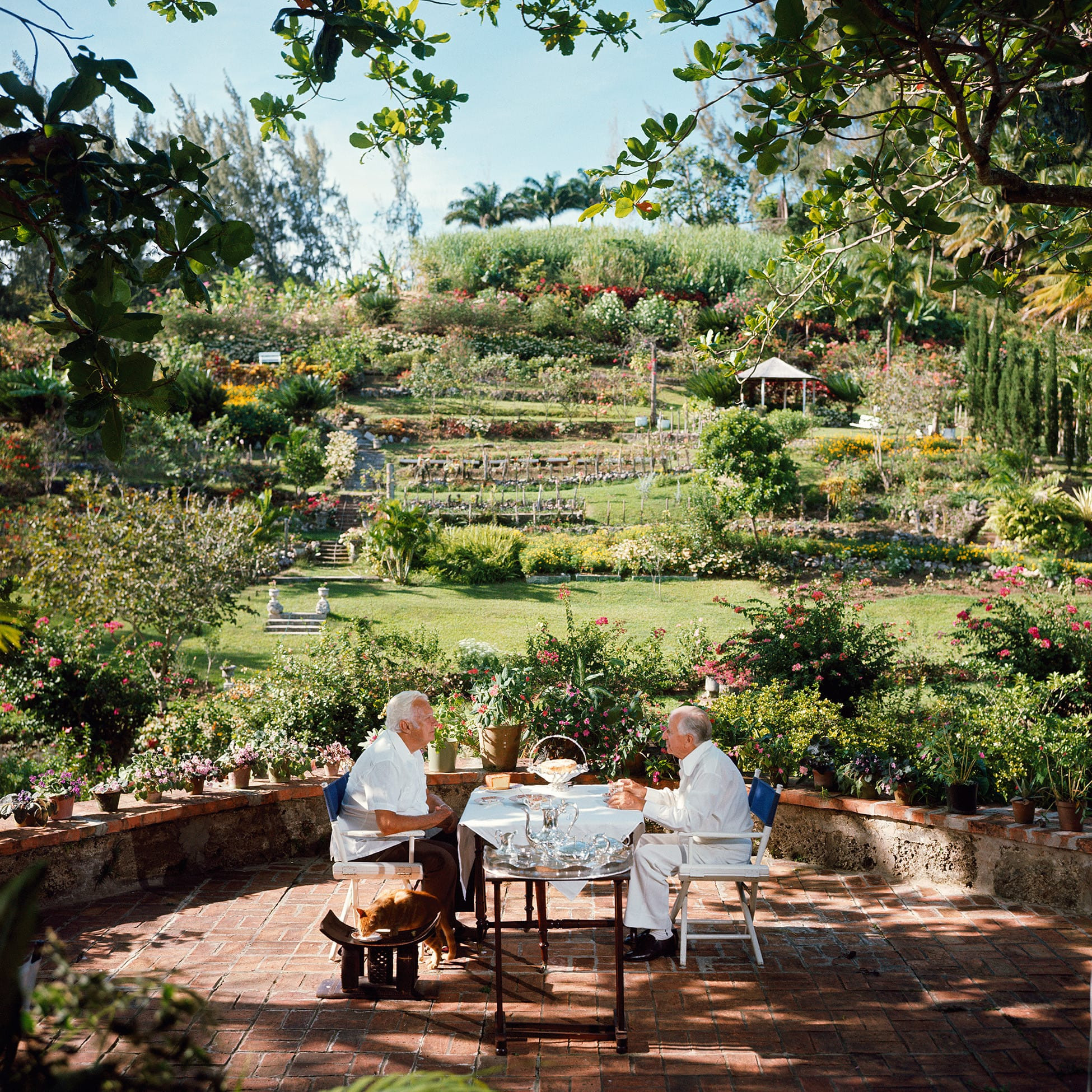 Dining Al Fresco