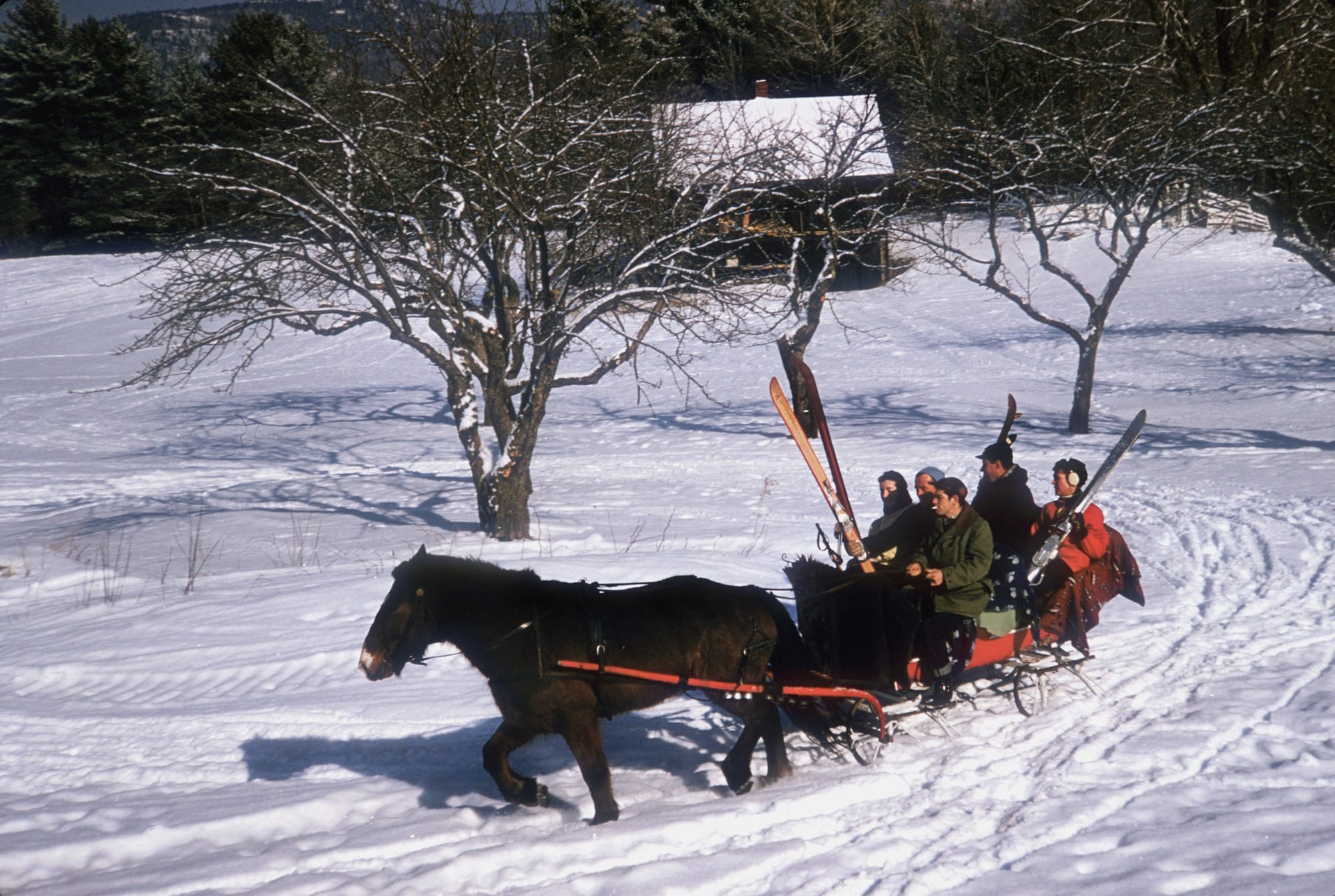 North Conway Sleigh