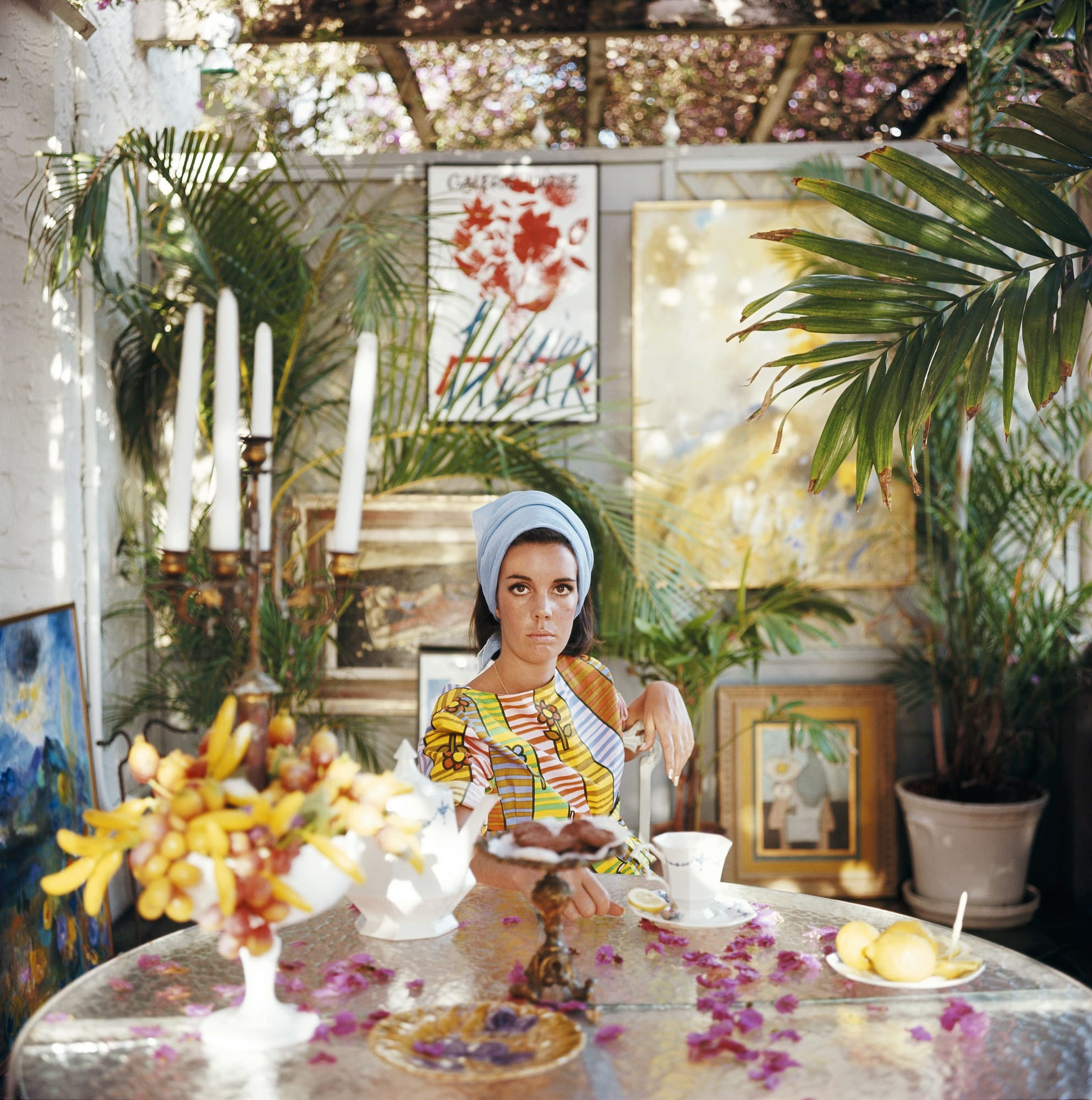 Wendy Vanderbilt