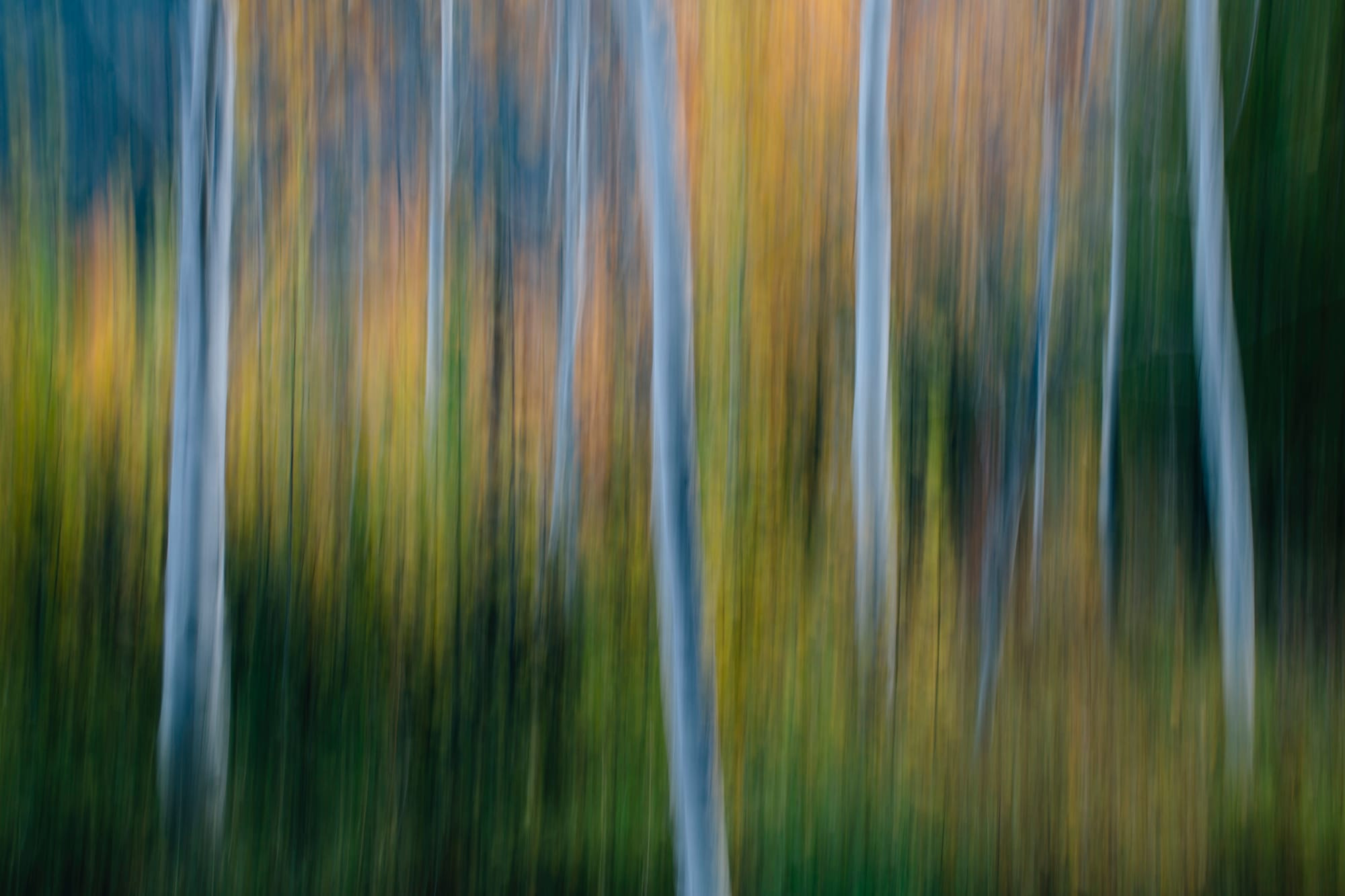 Blurred motion