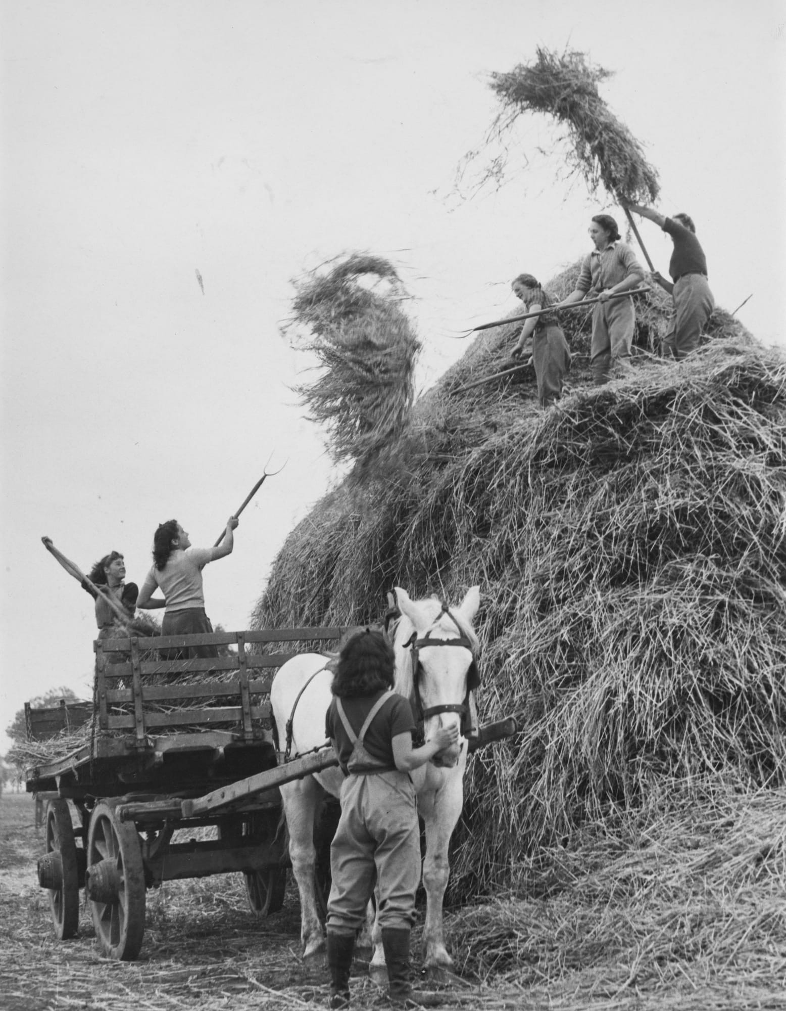 Women's Land Army