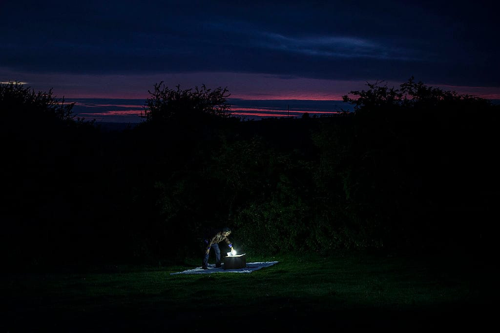 Annual Moth Census (Brill)