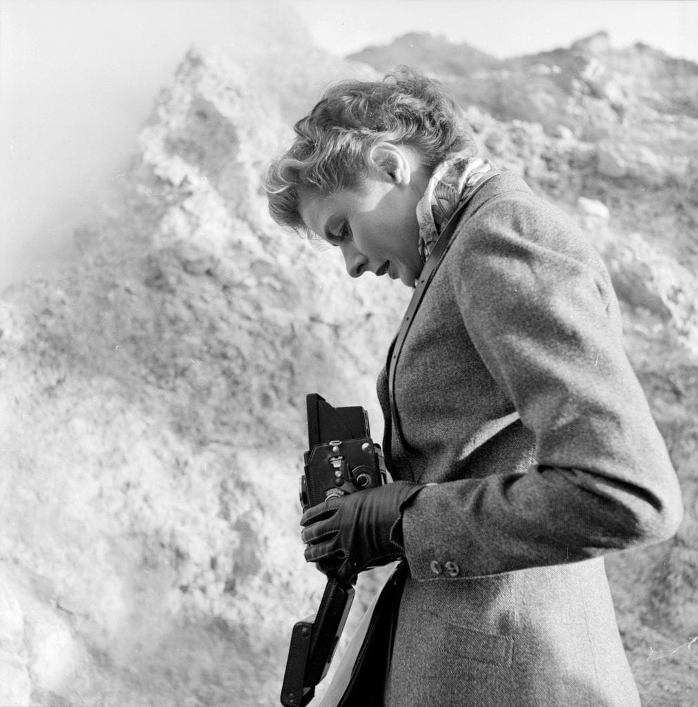 Bergman's Picture